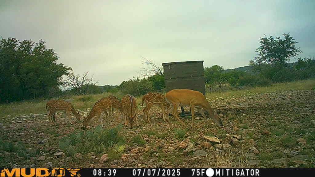 Lot 1 Northwest Nw Highway Rocksprings, TX 78880 - Photo 23 of 30 a view of a lake