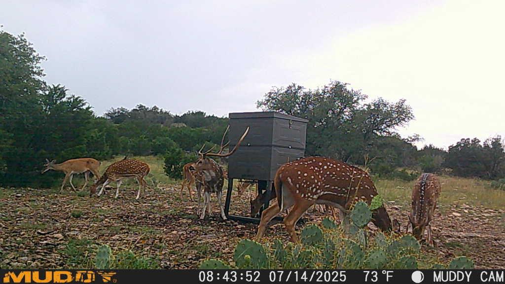 Lot 1 Northwest Nw Highway Rocksprings, TX 78880 - Photo 24 of 30 a backyard of a house with table and chairs