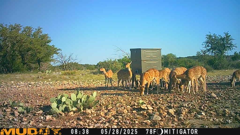 Lot 1 Northwest Nw Highway Rocksprings, TX 78880 - Photo 25 of 30 a view of swimming pool with a patio