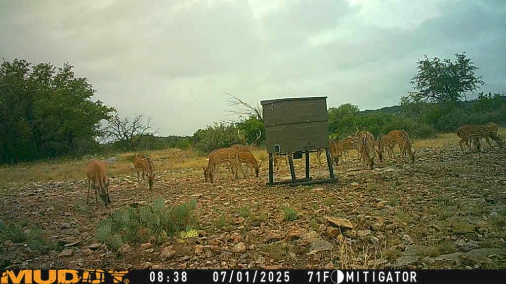 Lot 1 Northwest Nw Highway Rocksprings, TX 78880 - Photo 26 of 30 a view of a lake with houses