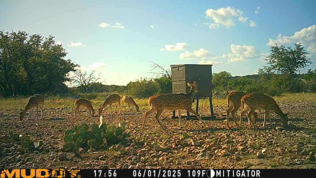 Lot 1 Northwest Nw Highway Rocksprings, TX 78880 - Photo 27 of 30 a view of a outdoor space
