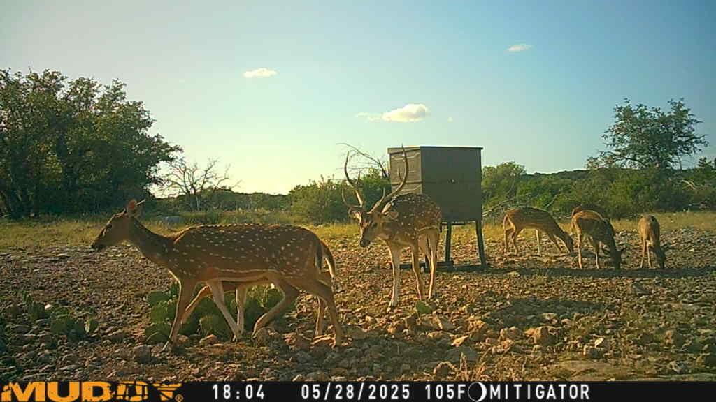 Lot 1 Northwest Nw Highway Rocksprings, TX 78880 - Photo 28 of 30 a view of outdoor space and yard