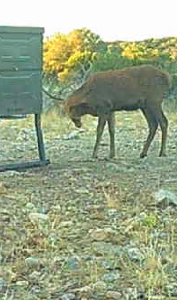 Lot 1 Northwest Nw Highway Rocksprings, TX 78880 - Photo 29 of 30 a view of lake view