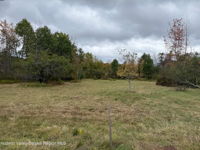 a view of a big yard with plants and large trees