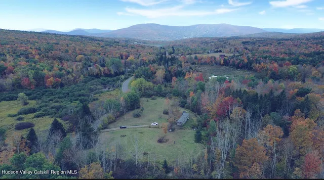 an aerial view of houses covered in trees