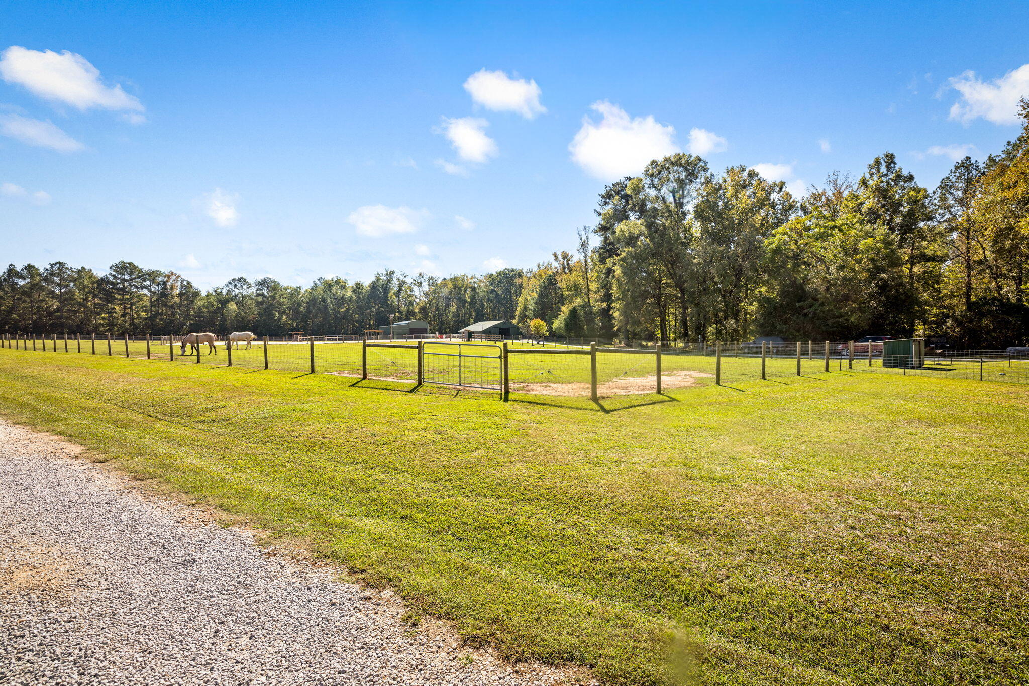 1382 Intermediate Road Harlem, GA 30814 - Photo 64 of 75 13-web-or-mls-1382 Intermediate Road-161