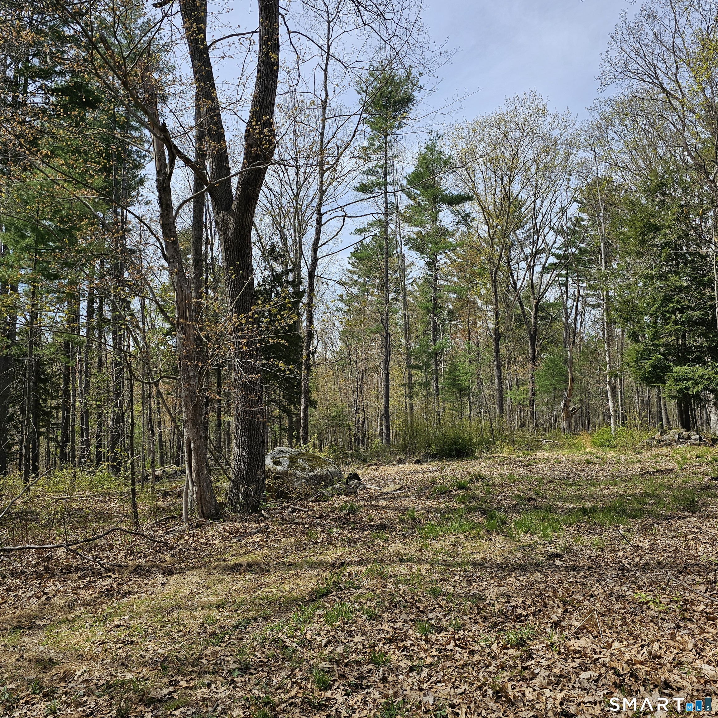 Jared Sparks Road Willington, CT 06279 - Photo 7 of 13 a view of outdoor space with trees