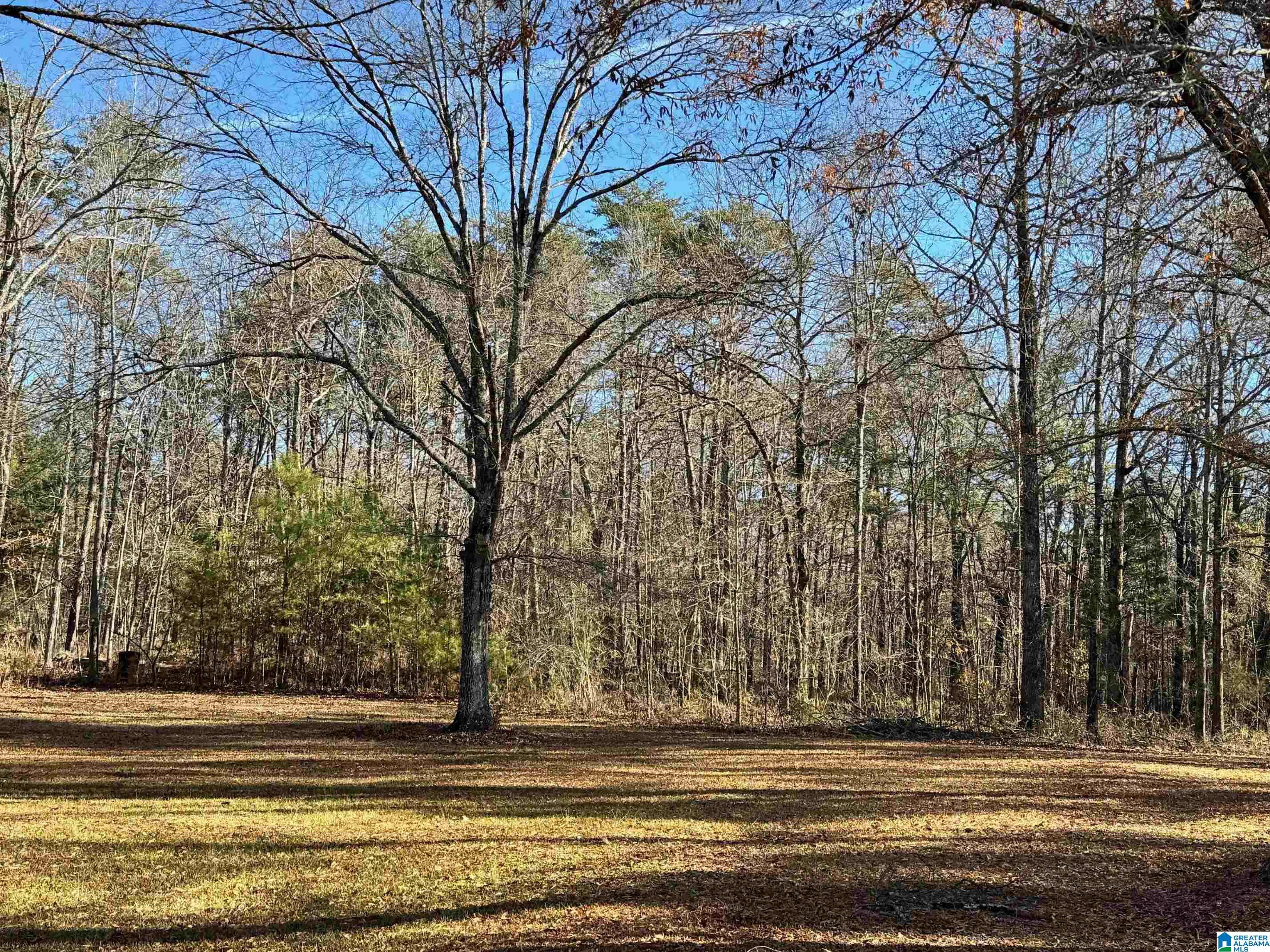 958 Chelsea Road Columbiana, AL 35051 - Photo 11 of 16