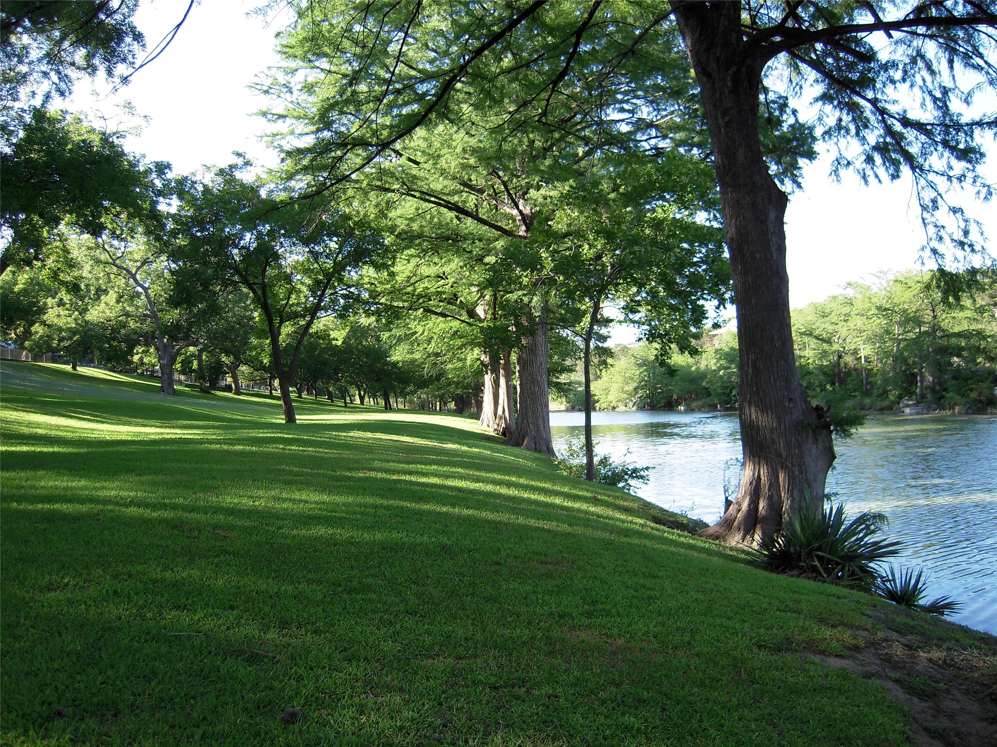 261 Barber Drive Wimberley, TX 78676 - Photo 32 of 37 Expansive lawn bordering a natural body of water, featuring numerous mature trees providing ample shade