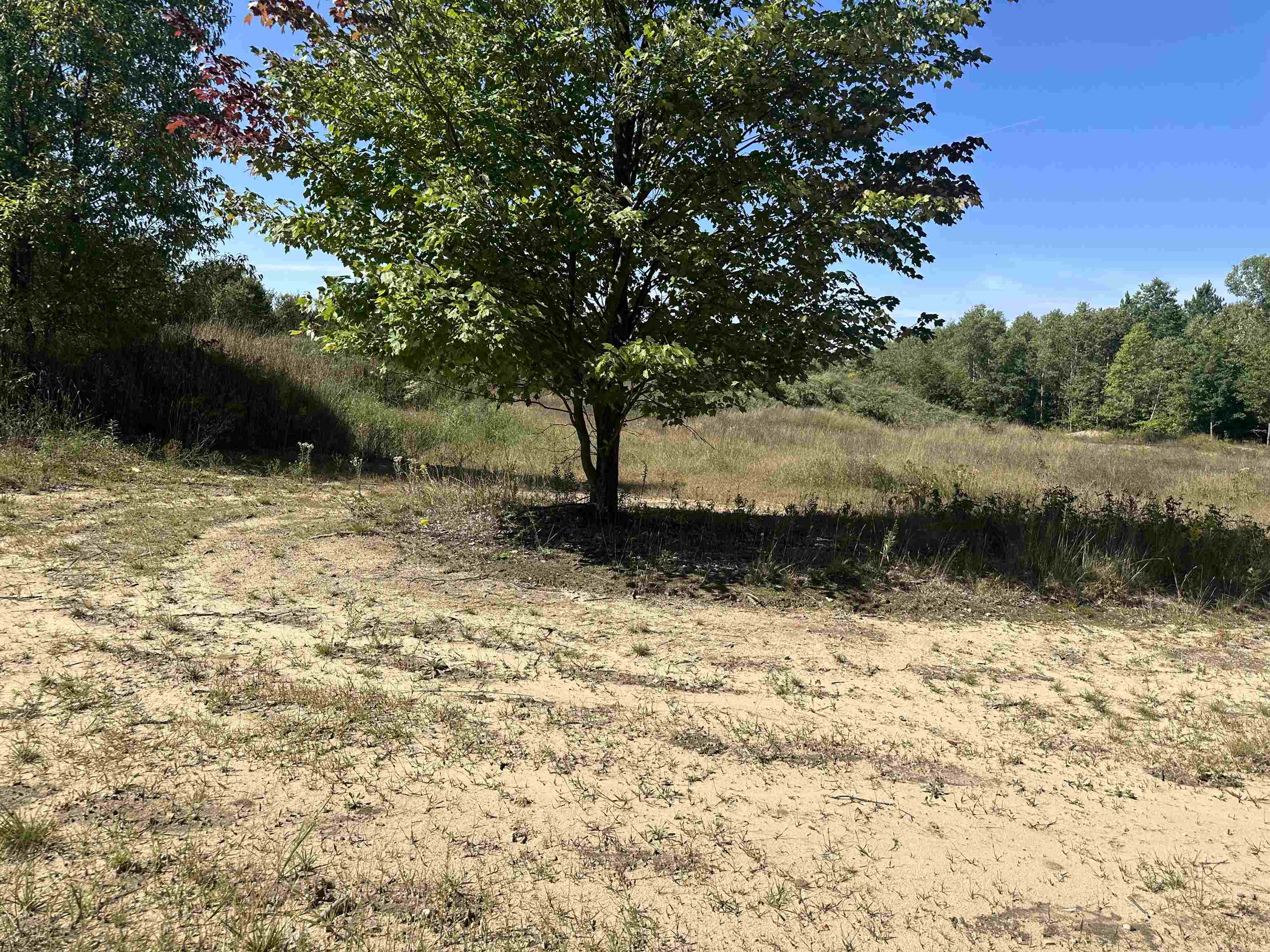 0 Viaduct Road Copemish, MI 49625 - Photo 4 of 19