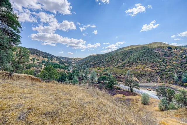 a view of a city with lush green forest