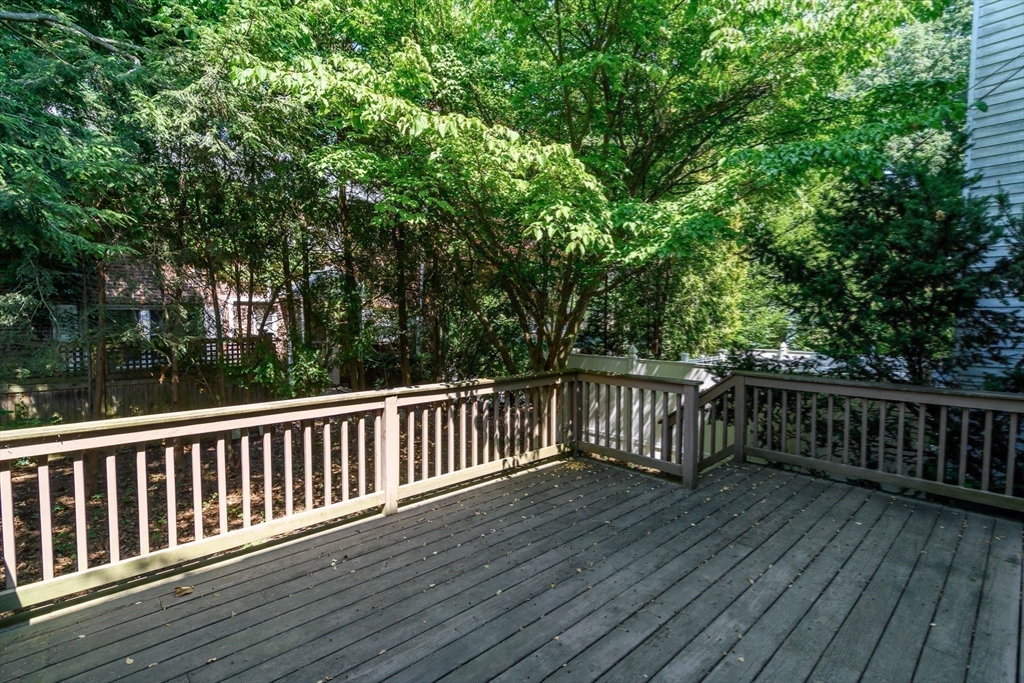 220 Kent Street, Unit 220 Brookline, MA 02446 - Photo 17 of 21