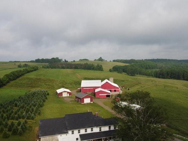 2045 Dutch Hill Road Warren, PA 16365 - Photo 8 of 9 Gallery Image 8