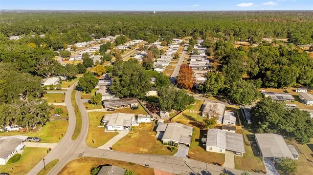 a aerial view of a house with swimming pool and large trees