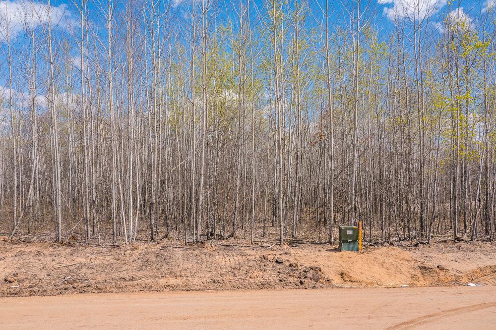 Lot 29 Sanctuary Path Brainerd, MN 56401 - Photo 44 of 107