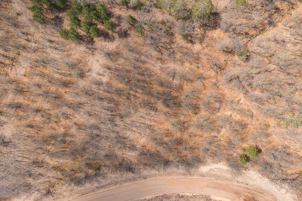 Lot 29 Sanctuary Path Brainerd, MN 56401 - Photo 55 of 107