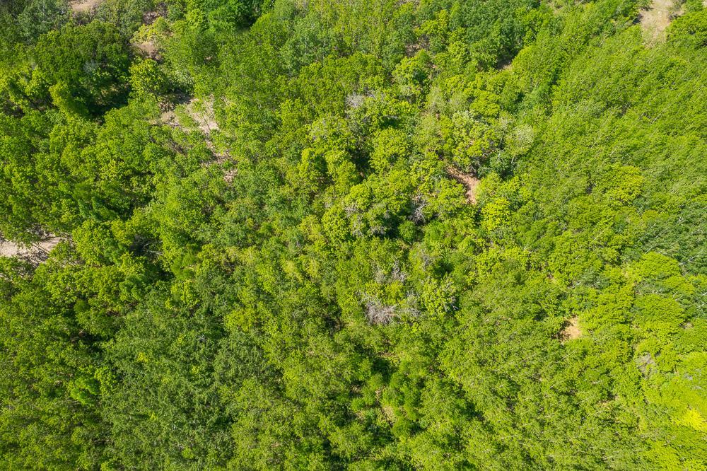 Lot 29 Sanctuary Path Brainerd, MN 56401 - Photo 80 of 107