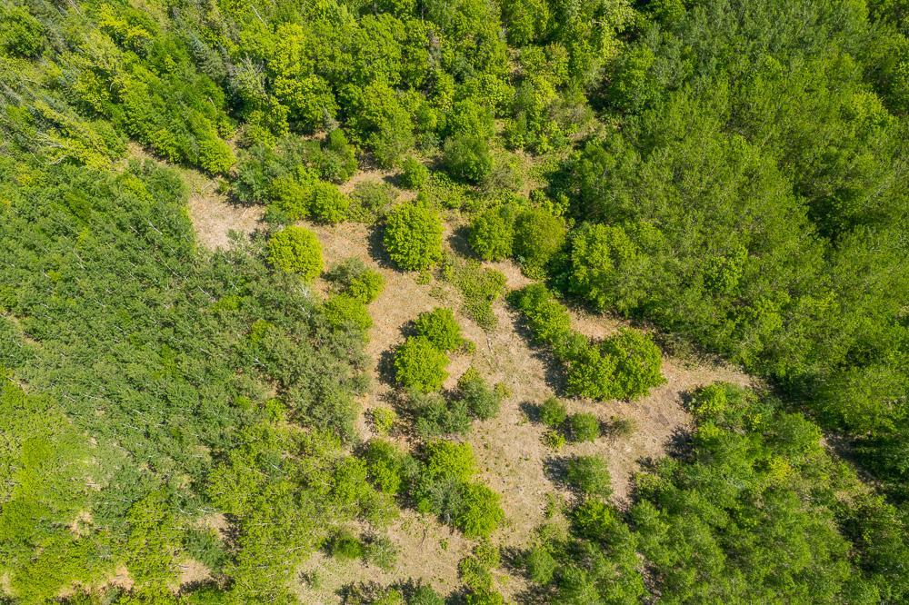 Lot 29 Sanctuary Path Brainerd, MN 56401 - Photo 83 of 107