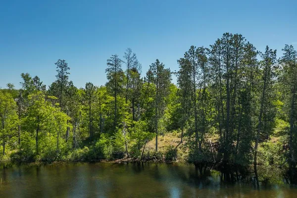 $480,000 | Lot 29 Sanctuary Path, Brainerd, MN 56401