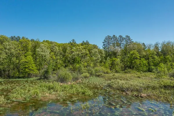$480,000 | Lot 29 Sanctuary Path, Brainerd, MN 56401