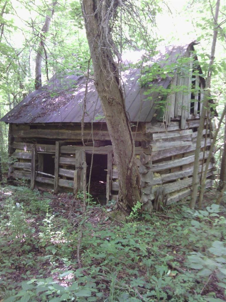 0 Buzzard Rock Road McKee, KY 40447 - Photo 9 of 15 Photo 9