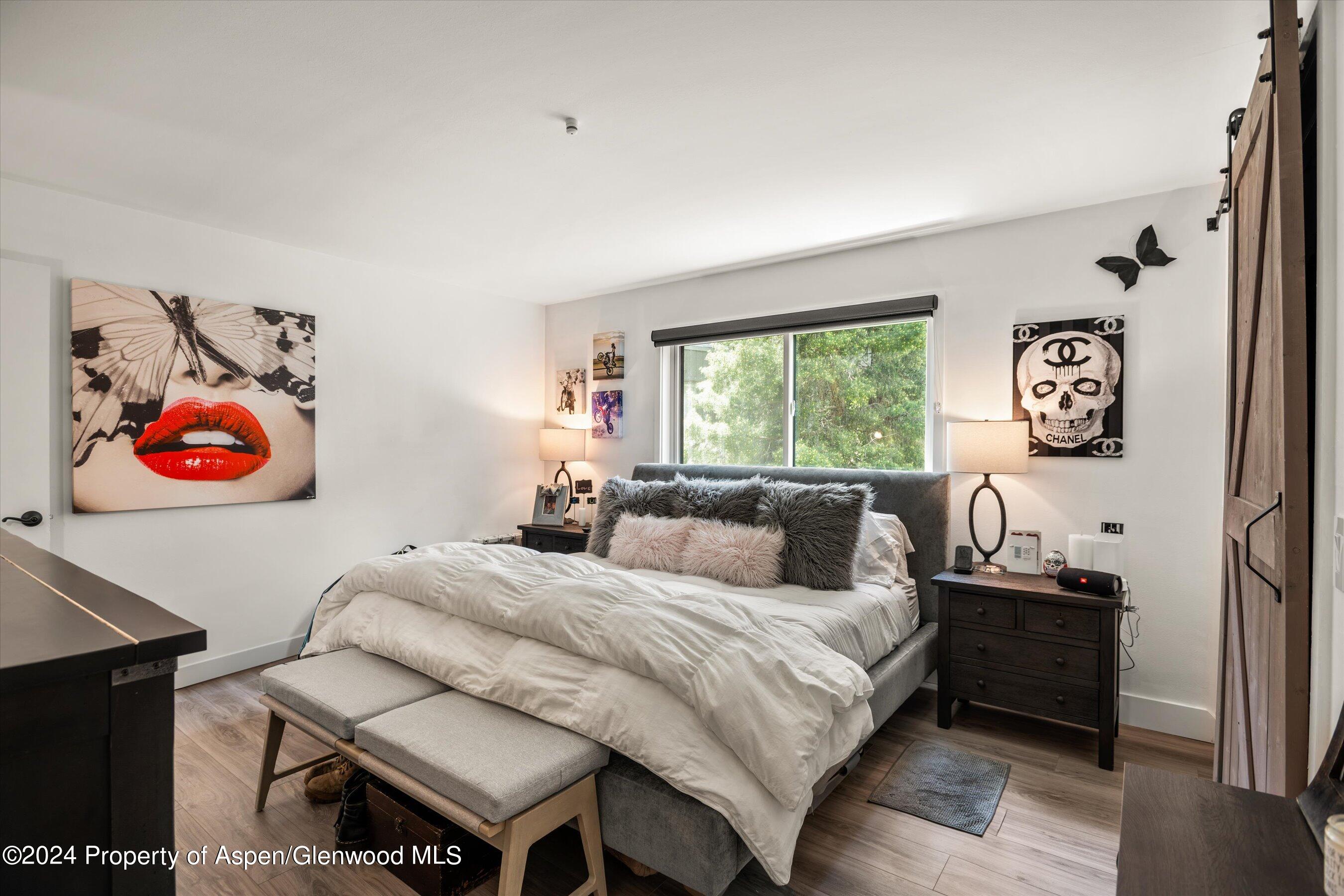 221 Meadow Ranch Road Snowmass Village, CO 81615 - Photo 10 of 24 15-221MeadowRanchRd_24061115