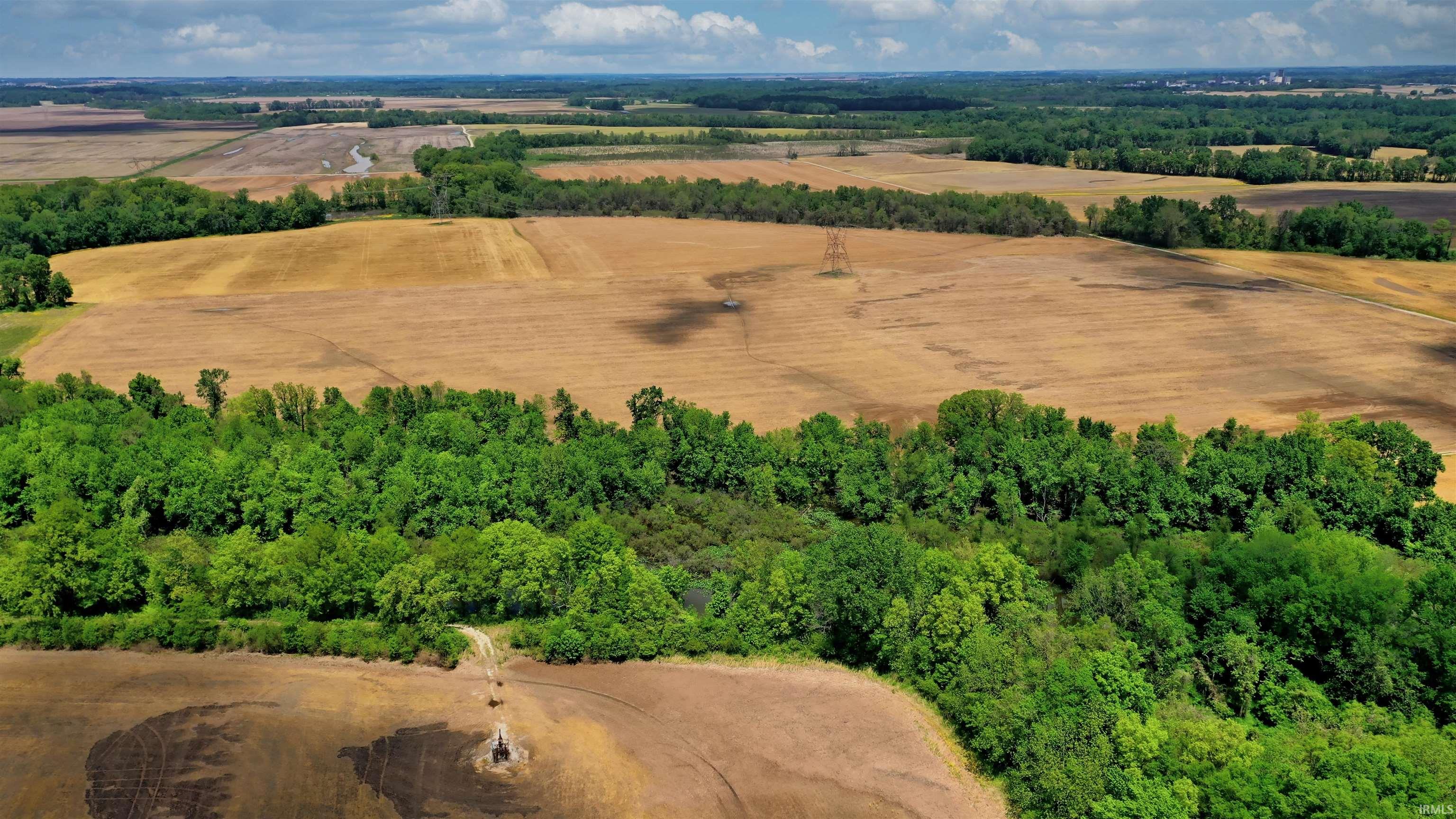 Beaver Dam/ Beaver Dam/ Township Road Wheatland, IN 47597 - Photo 4 of 10