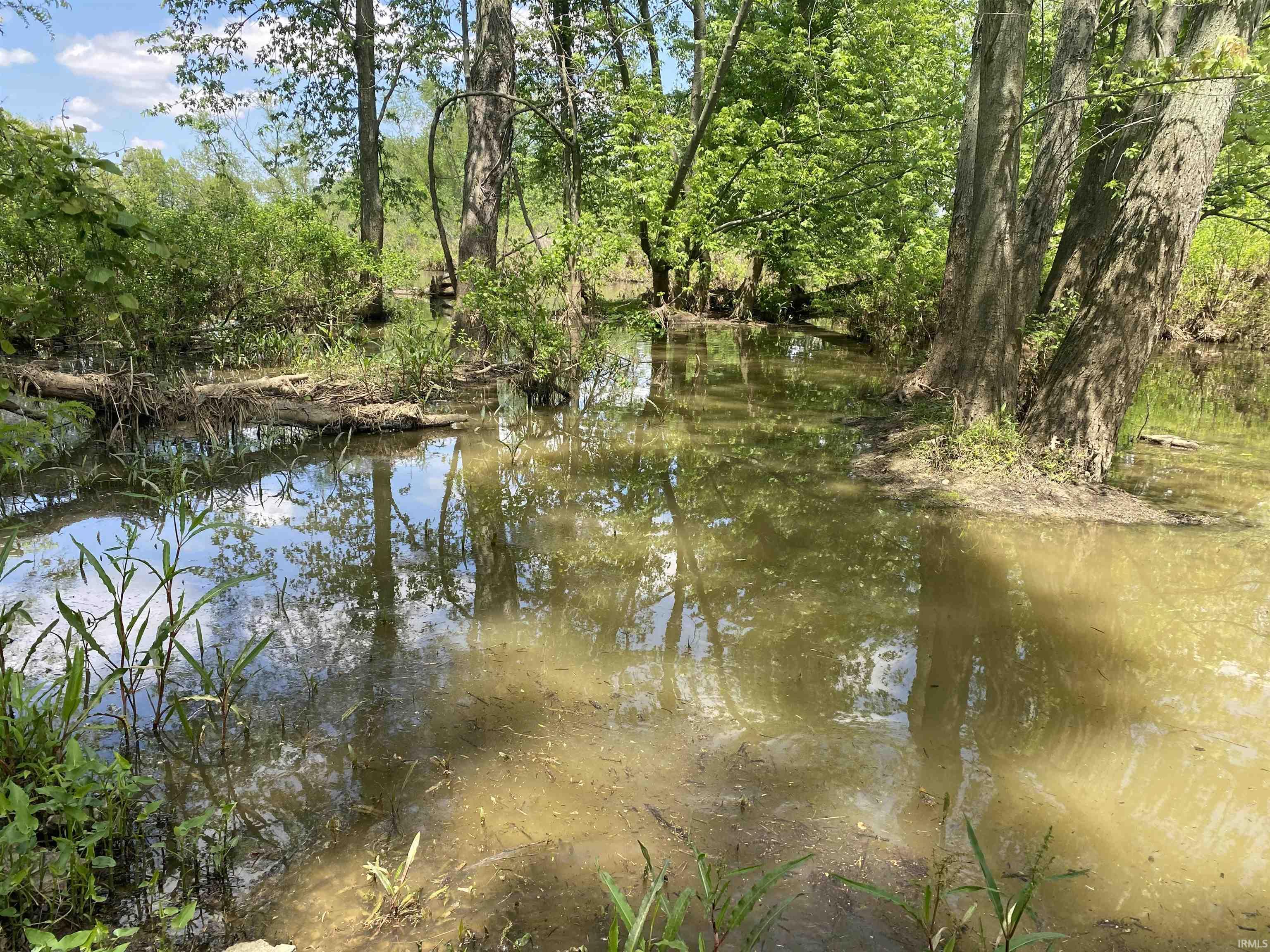 Beaver Dam/ Beaver Dam/ Township Road Wheatland, IN 47597 - Photo 5 of 10