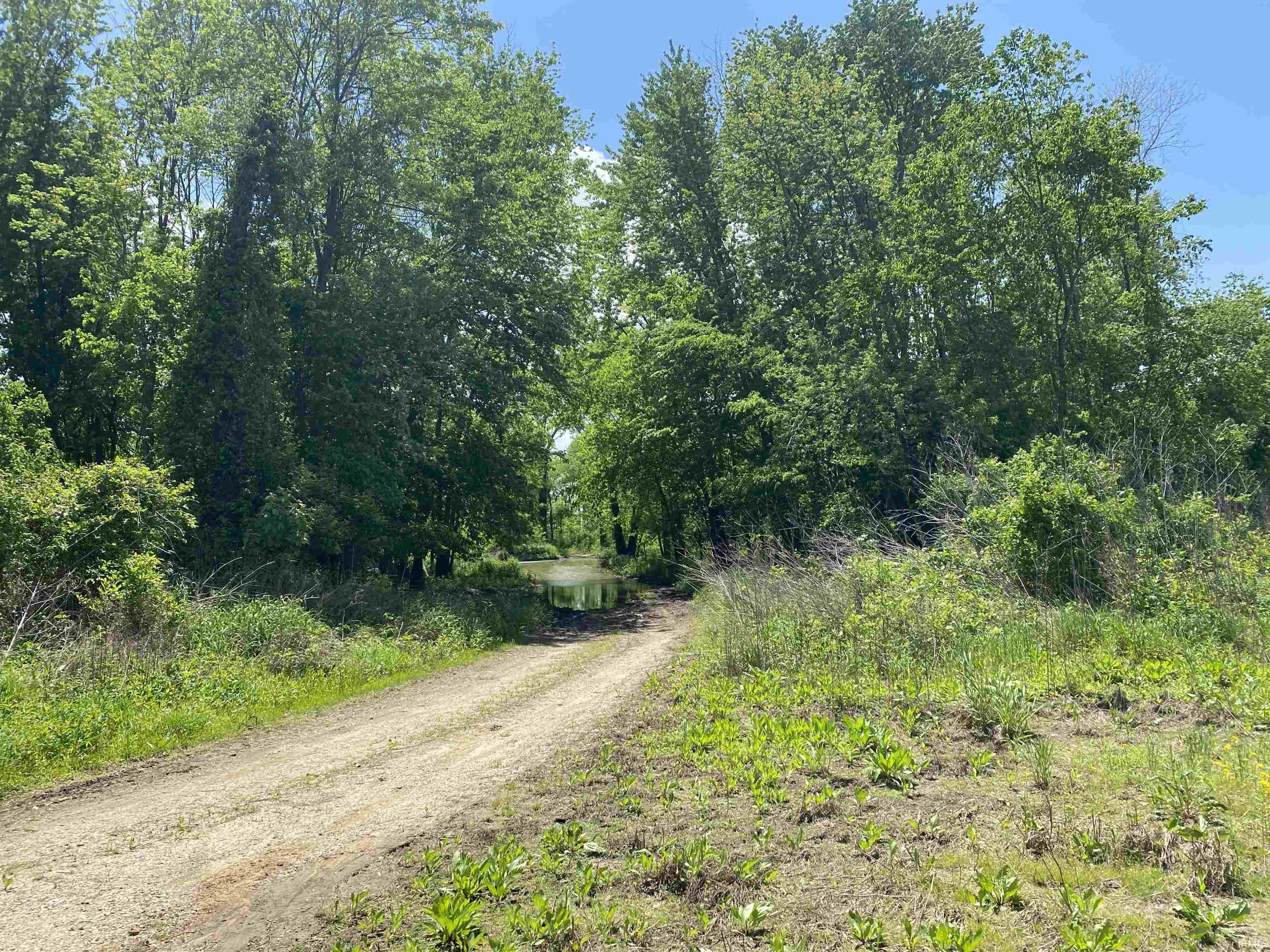 Beaver Dam/ Beaver Dam/ Township Road Wheatland, IN 47597 - Photo 6 of 10