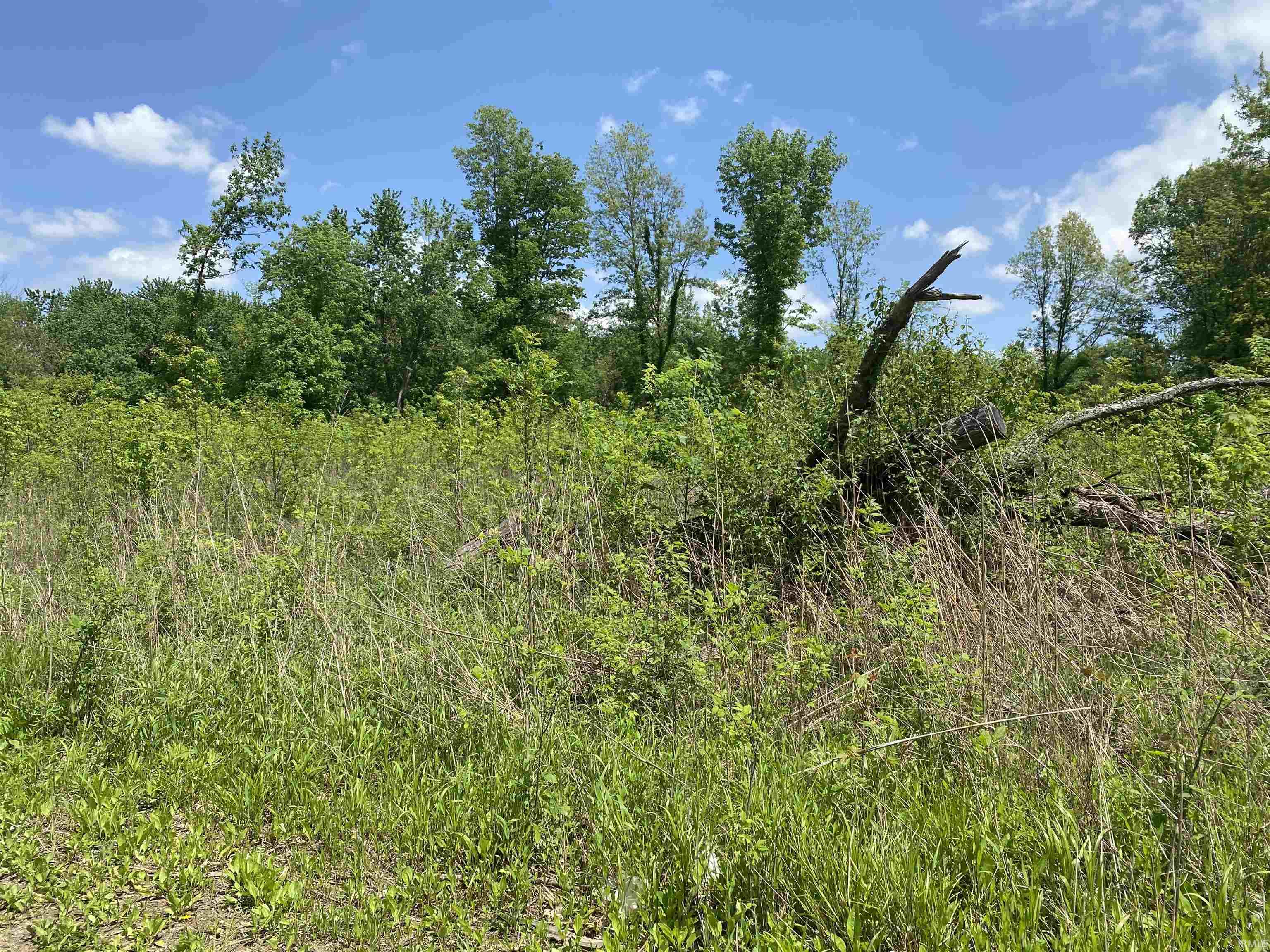Beaver Dam/ Beaver Dam/ Township Road Wheatland, IN 47597 - Photo 7 of 10