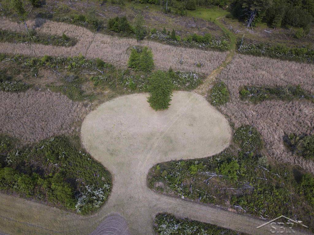 66-acres North Geneva Road Coleman, MI 48618 - Photo 12 of 44 50112001-11.JPG
