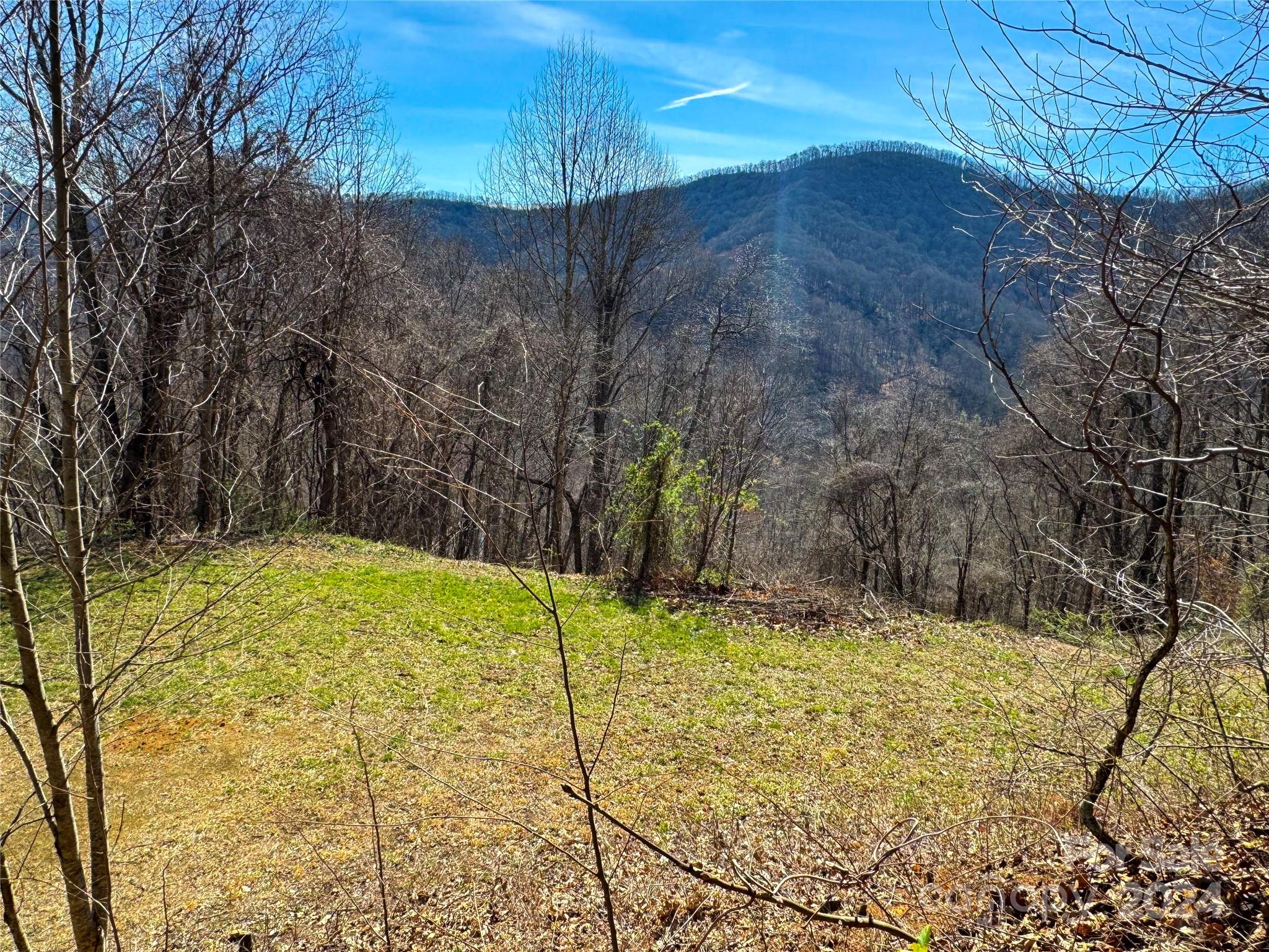 9999 Rock Ridge Road Leicester, NC 28748 - Photo 2 of 16 Gallery Image 2