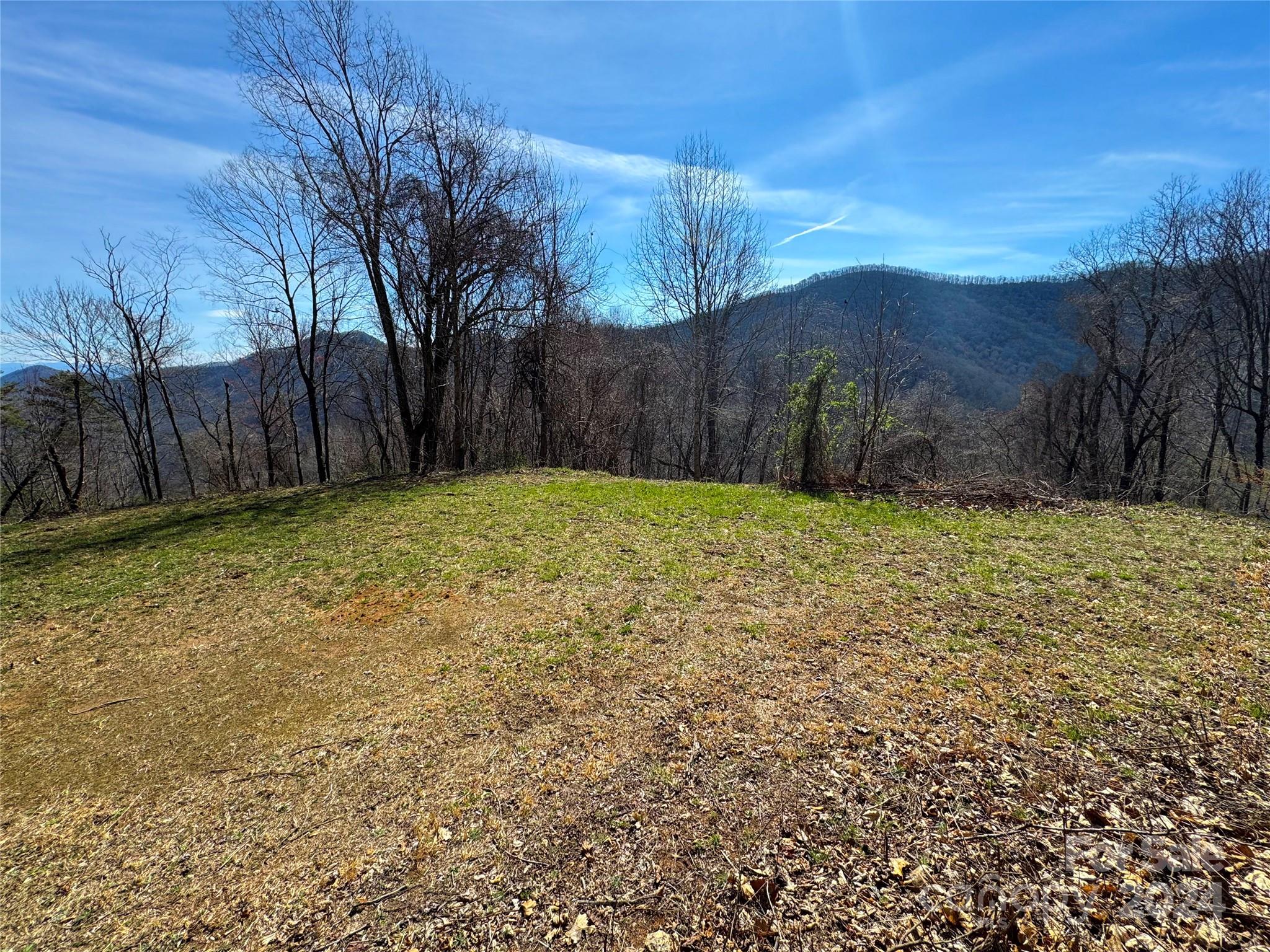 9999 Rock Ridge Road Leicester, NC 28748 - Photo 3 of 16 Gallery Image 3