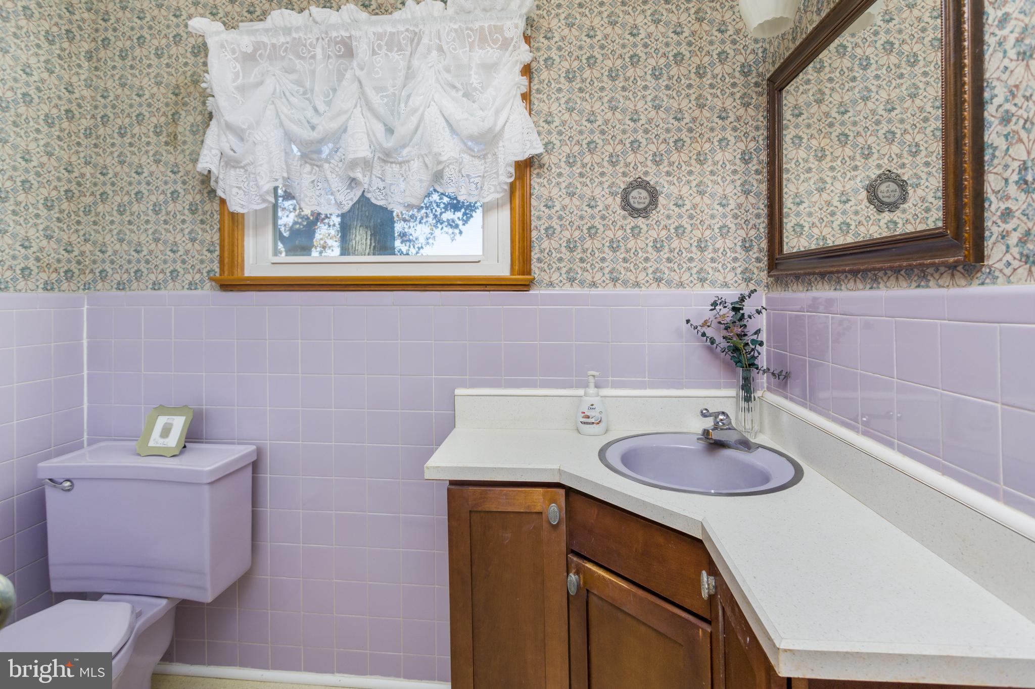 193 Burlington Path Road Cream Ridge, NJ 08514 - Photo 27 of 51 a bathroom with a sink and a mirror with toilet