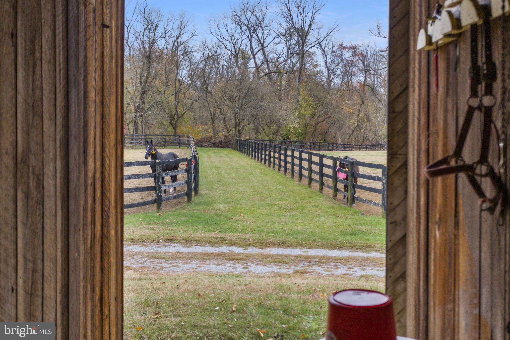 193 Burlington Path Road Cream Ridge, NJ 08514 - Photo 42 of 51 a view of a bench in the backyard of a house