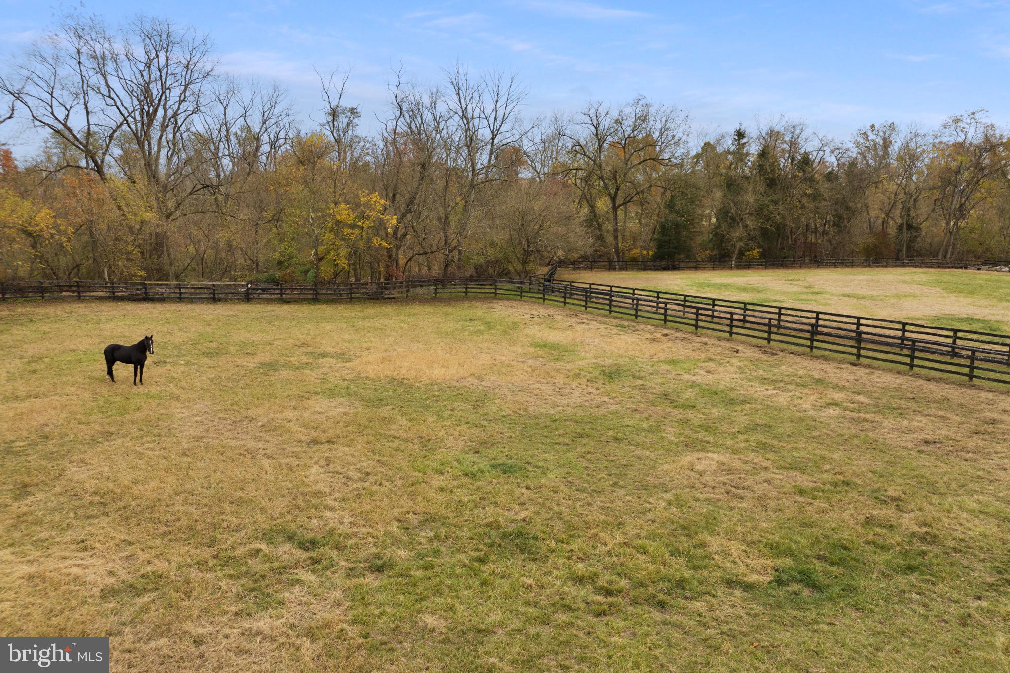 193 Burlington Path Road Cream Ridge, NJ 08514 - Photo 43 of 51 a view of a yard