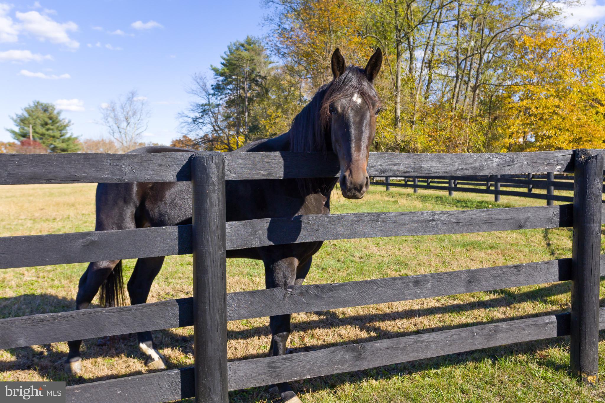 193 Burlington Path Road Cream Ridge, NJ 08514 - Photo 51 of 51 a view of a two chairs and table in the patio