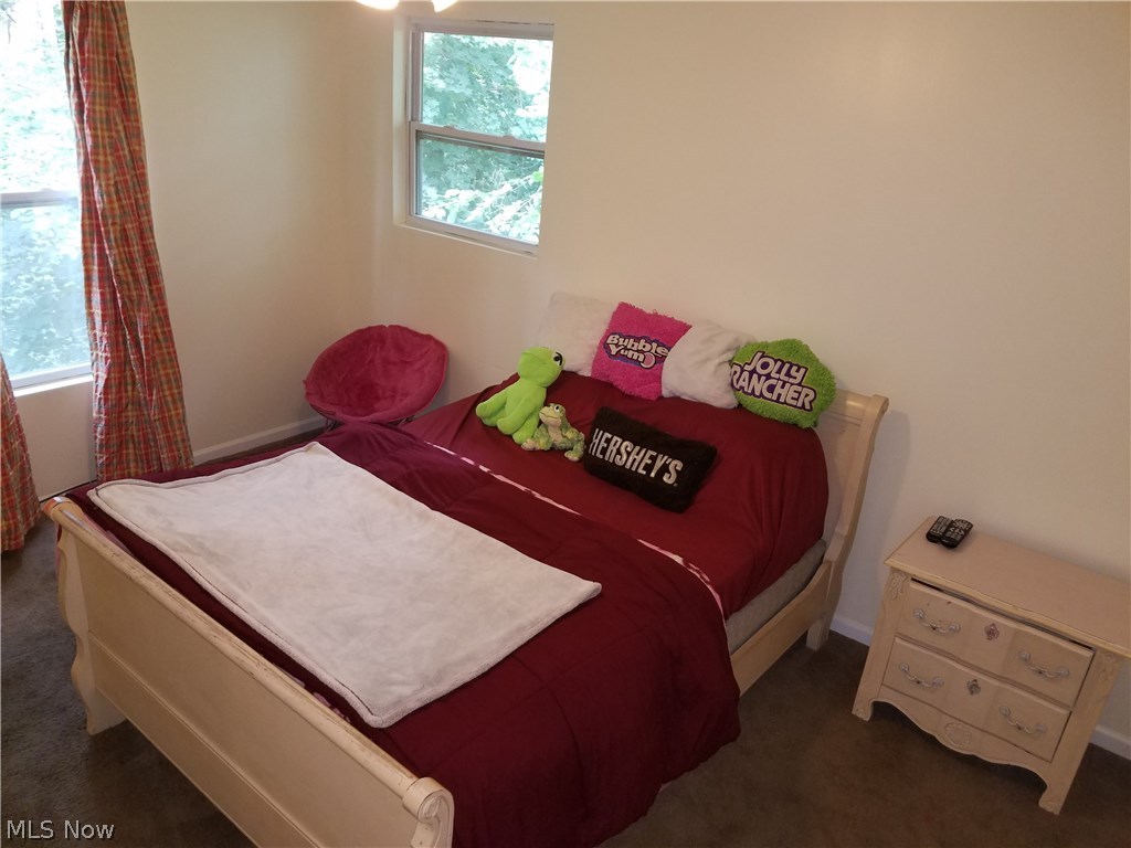 2344 Blake Road Wadsworth, OH 44281 - Photo 10 of 32