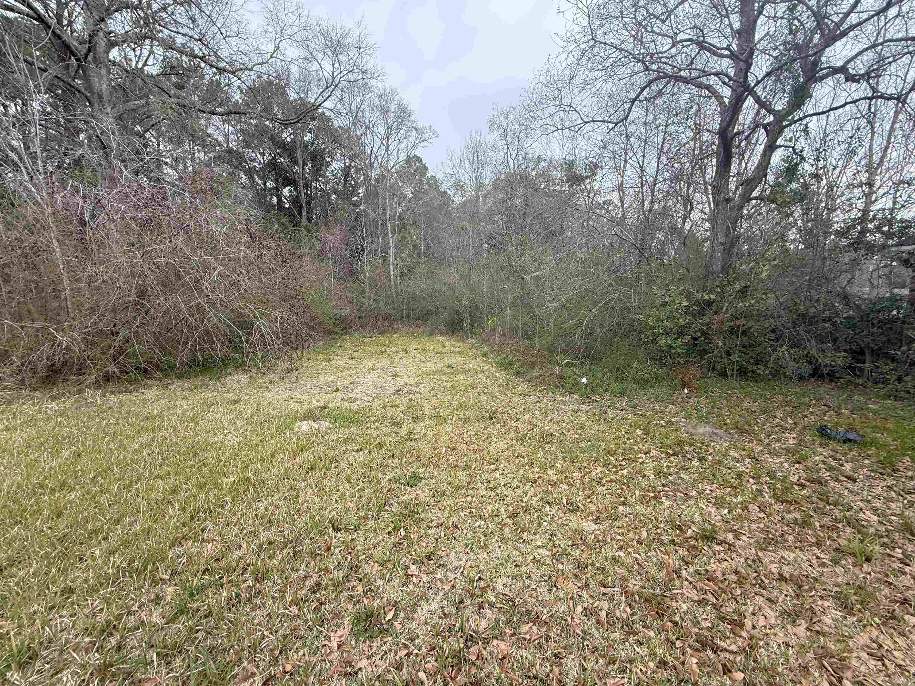 1166 Military Road Mount Vernon, AL 36560 - Photo 7 of 9 Yard