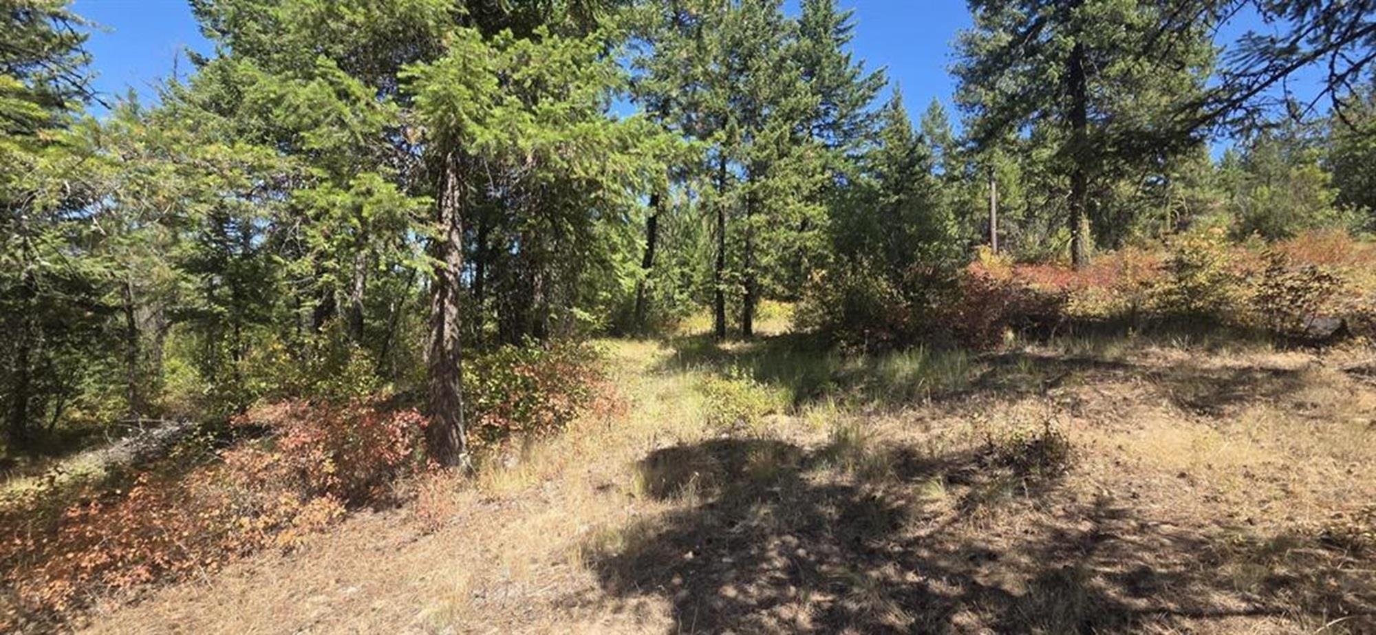 1080 G Middle Basin Road Colville, WA 99114 - Photo 15 of 32