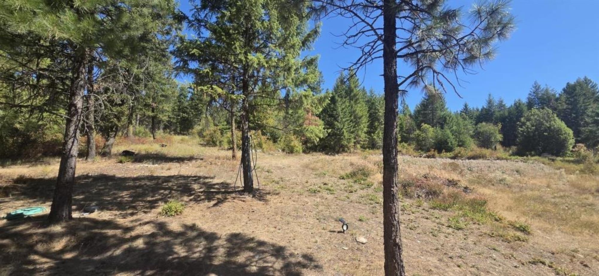 1080 G Middle Basin Road Colville, WA 99114 - Photo 6 of 32