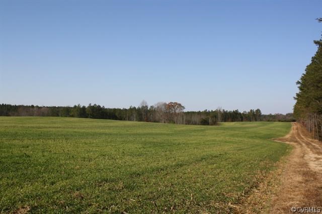 Lot 6 Clarke's Store Road Caret, VA 22436 - Photo 1 of 8 Gallery Image 1