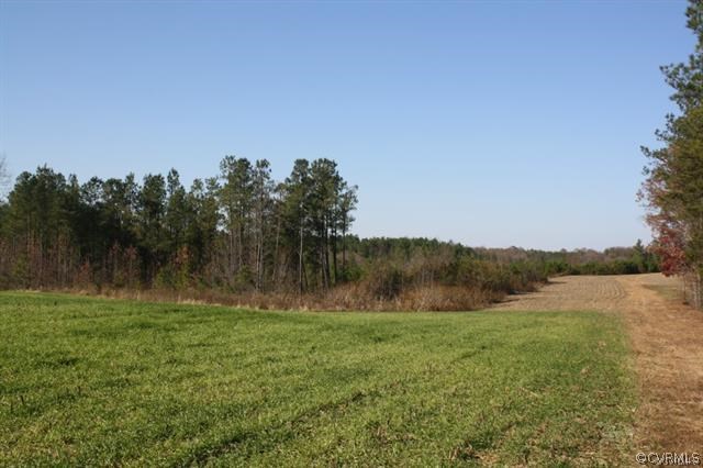 Lot 6 Clarke's Store Road Caret, VA 22436 - Photo 4 of 8 Gallery Image 4