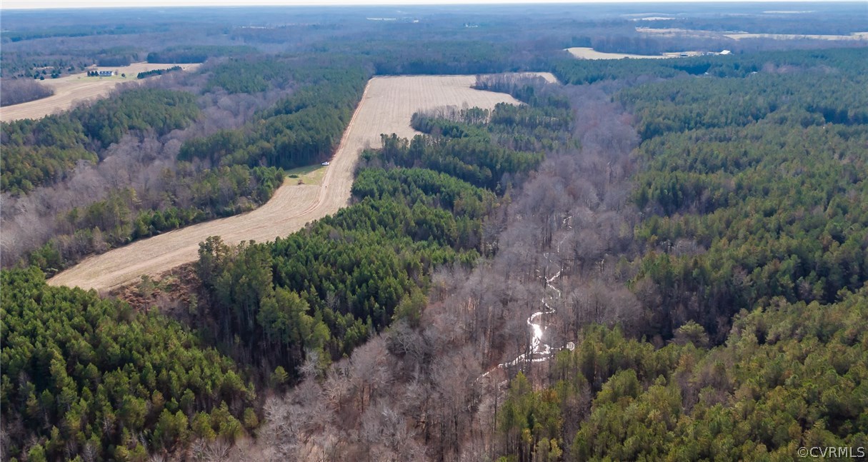 Lot 6 Clarke's Store Road Caret, VA 22436 - Photo 6 of 8 Gallery Image 6