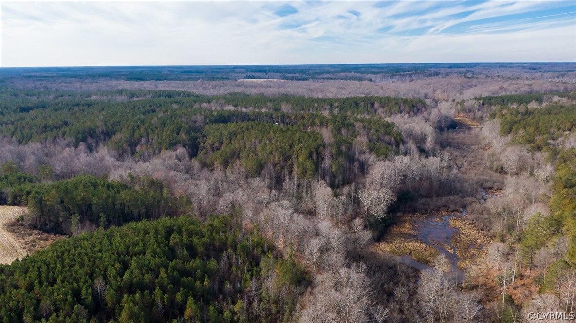 Lot 6 Clarke's Store Road Caret, VA 22436 - Photo 7 of 8 Gallery Image 7