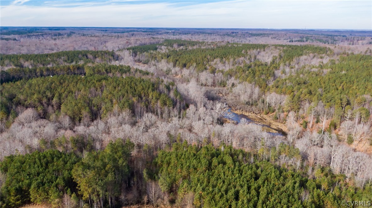 Lot 6 Clarke's Store Road Caret, VA 22436 - Photo 8 of 8 Gallery Image 8