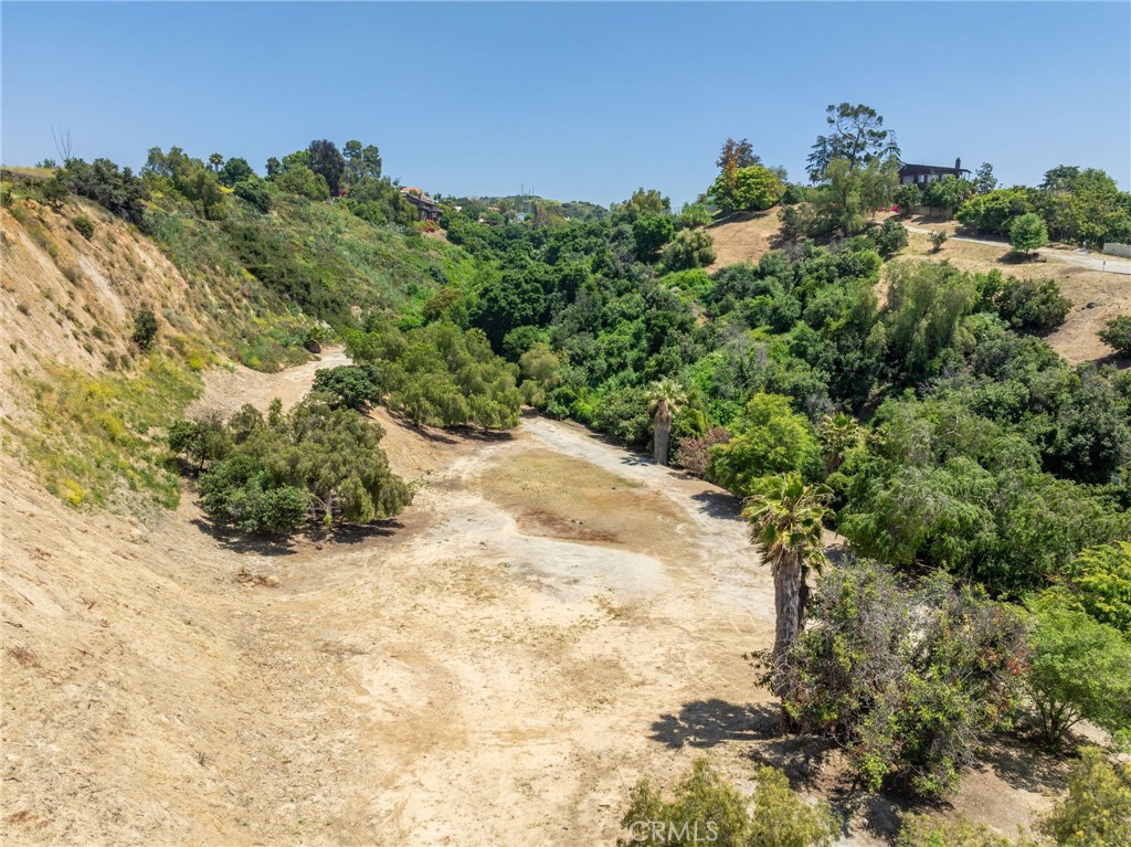 5300 Workman Mill Road Whittier, CA 90601 - Photo 3 of 12 a view of a yard with a tree