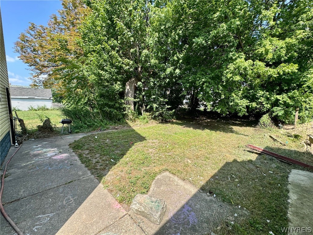 291 Rother Avenue Buffalo, NY 14211 - Photo 35 of 45 Backyard 1