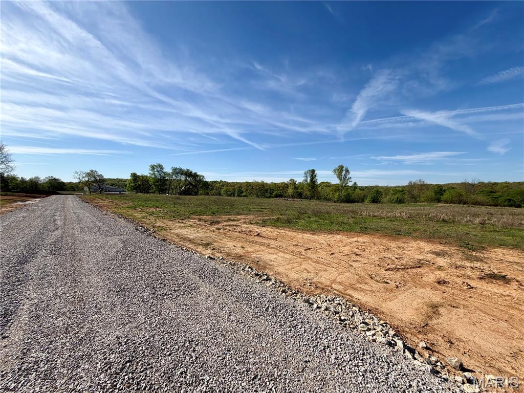 4 Jackal Road Potosi, MO 63664 - Photo 6 of 20