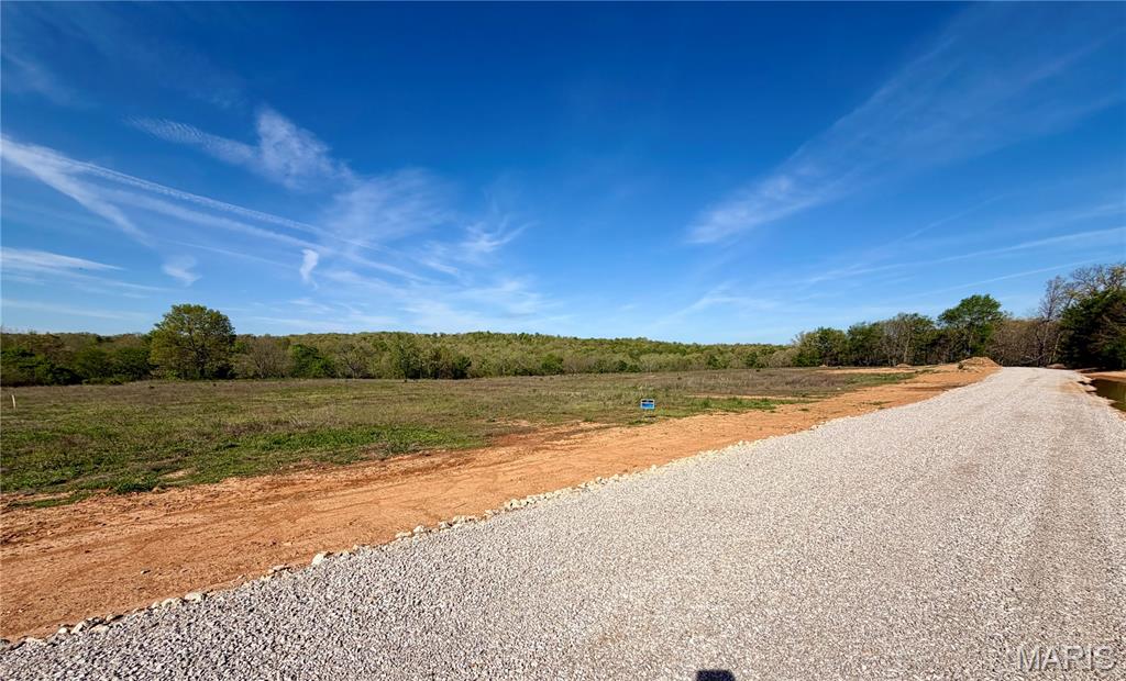 4 Jackal Road Potosi, MO 63664 - Photo 8 of 20